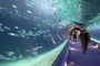 海洋水族馆